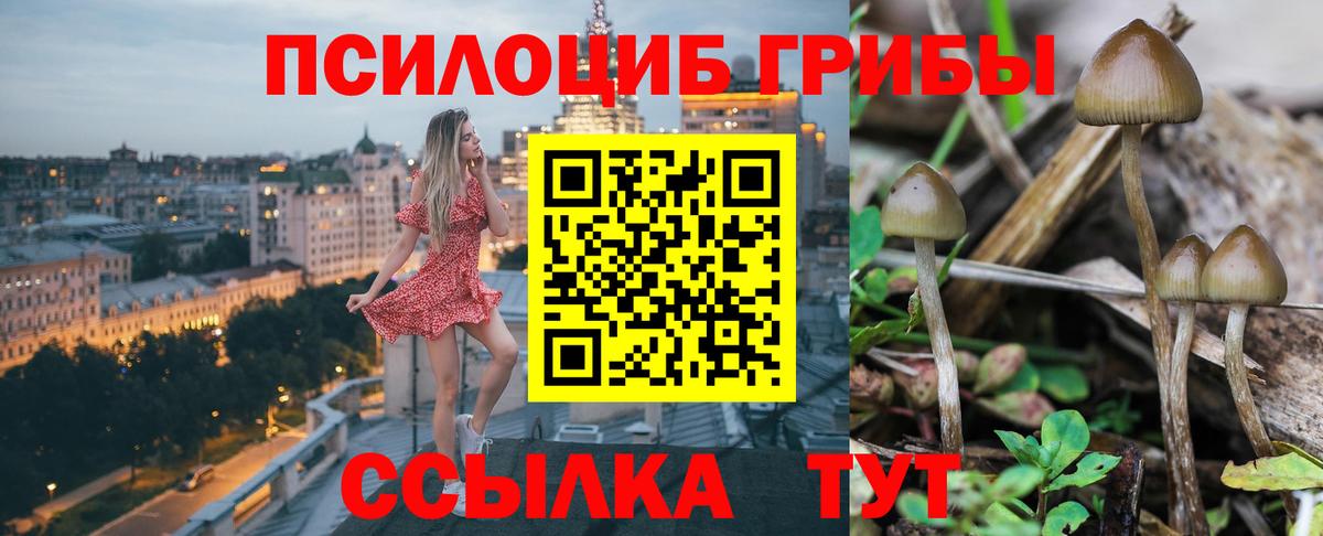 Псилоцибиновые грибы Magic Shrooms  Галлюциногенные грибы прущие грибы  Вход с VPN  Семёнов 